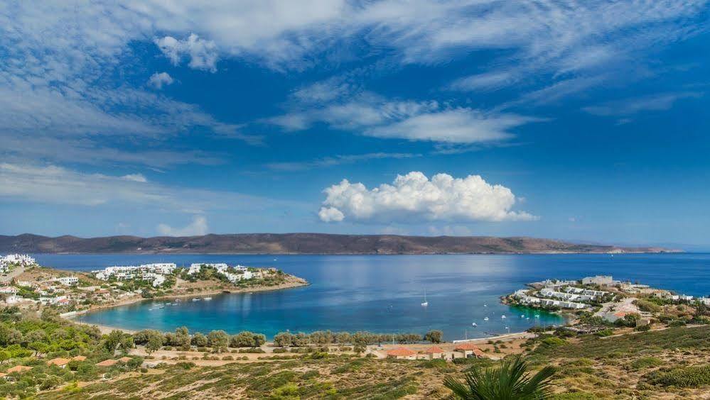 Sounio Villa Piräus Exterior foto